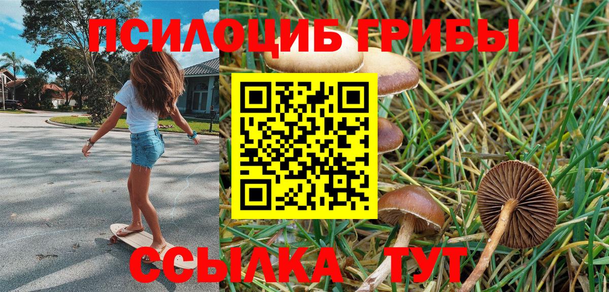 Галлюциногенные грибы ЛСД  Вход с VPN  Торжок 