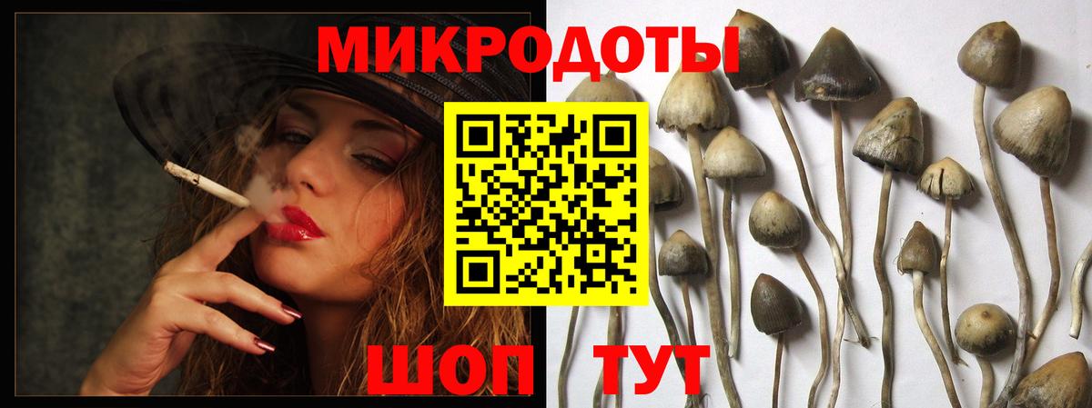Псилоцибиновые грибы GOLDEN TEACHER Торжок